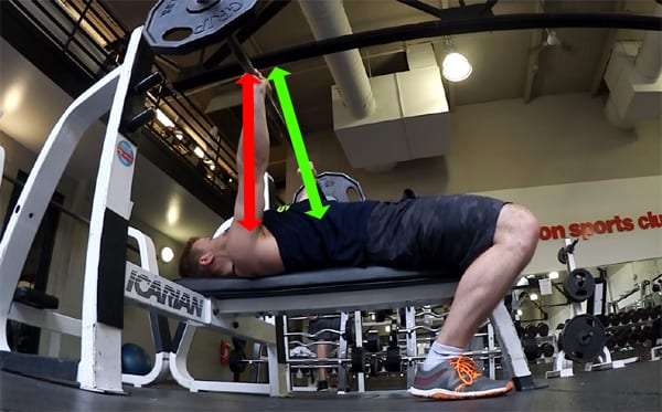 28 Comfortable Is bench press bad for herniated disc Workout at Home