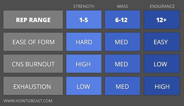 Set Rep Chart