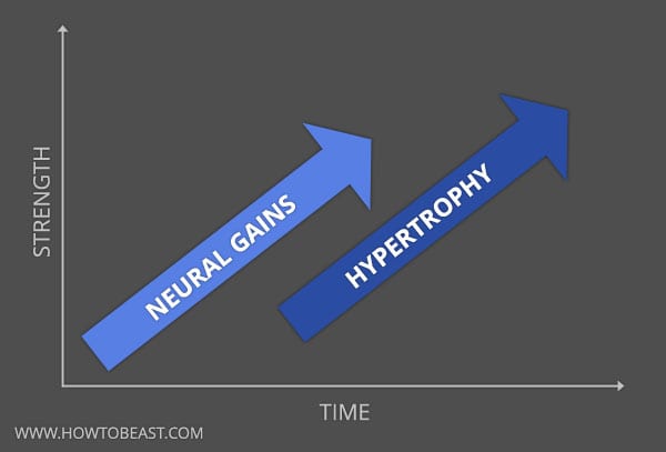 nueral-gains-hypertrophy