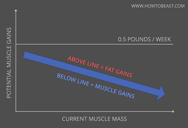 max-muscle-gains-graph